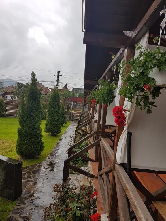 Pensiunea Valea Argesului Albestii Paminteni Exteriör bild