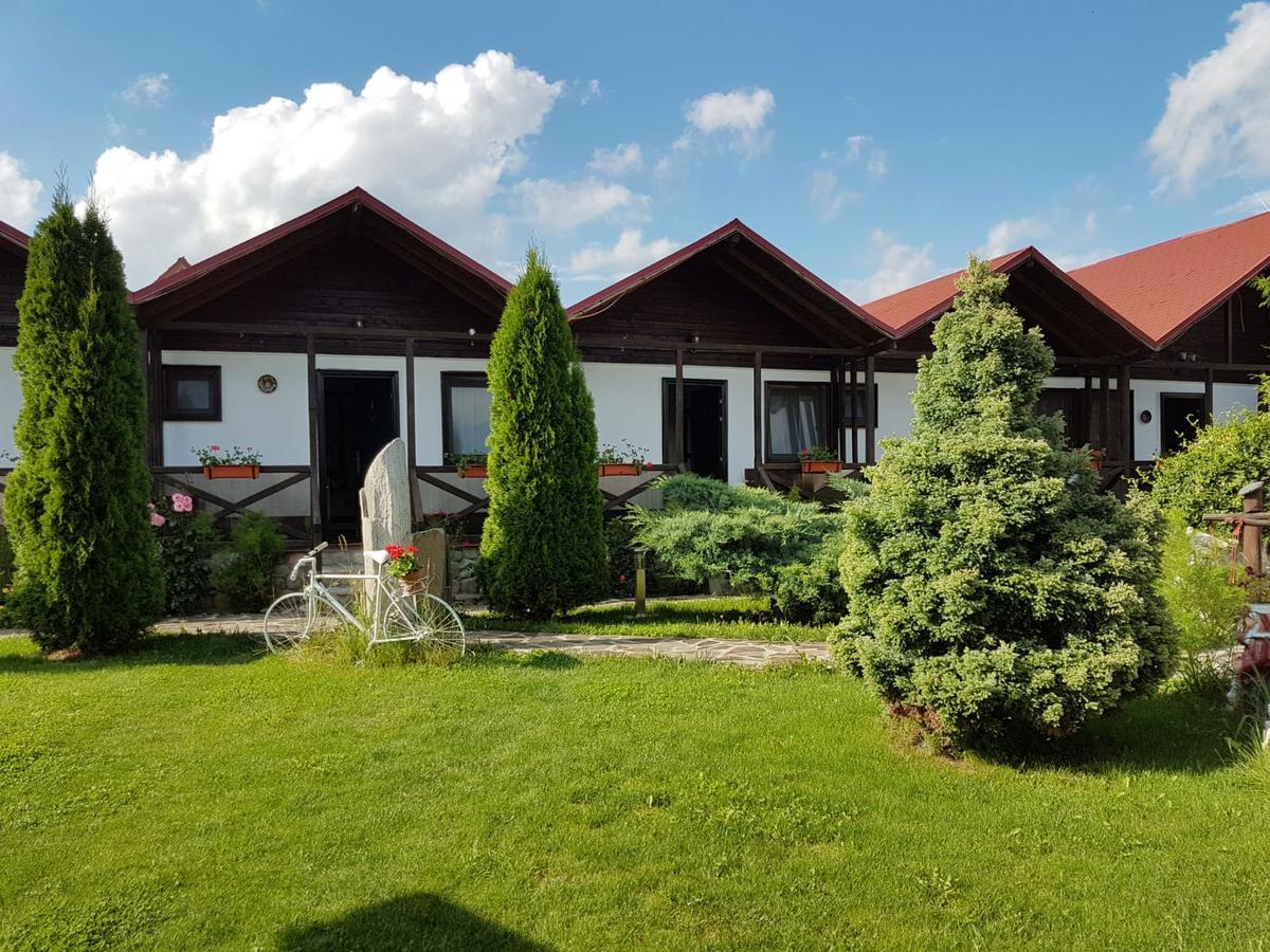 Pensiunea Valea Argesului Albestii Paminteni Exteriör bild